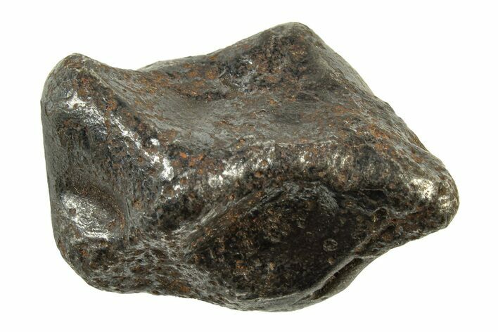 Fusion Crusted Sikhote-Alin Iron Meteorite ( g) - Russia #243176